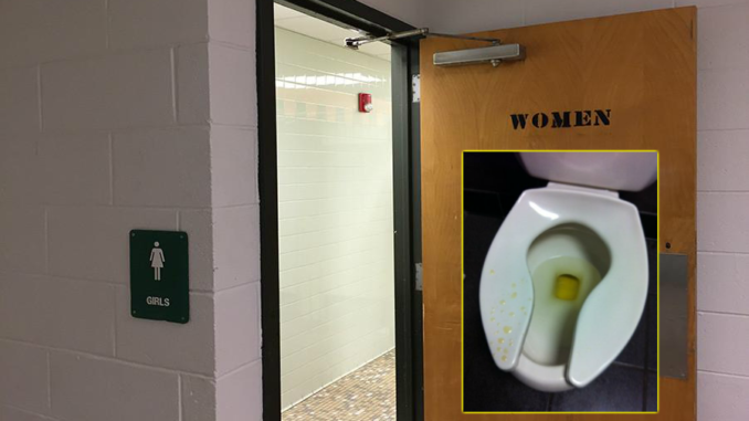 PeeToiletSeat