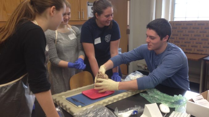 MitchellStudentsDissectDreams